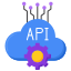 api